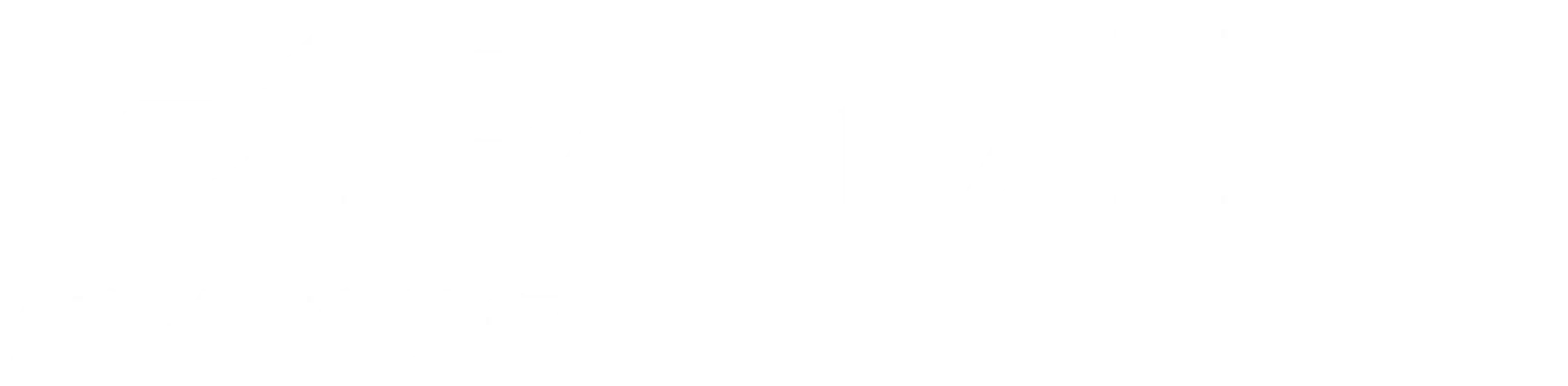 冠能星舰II