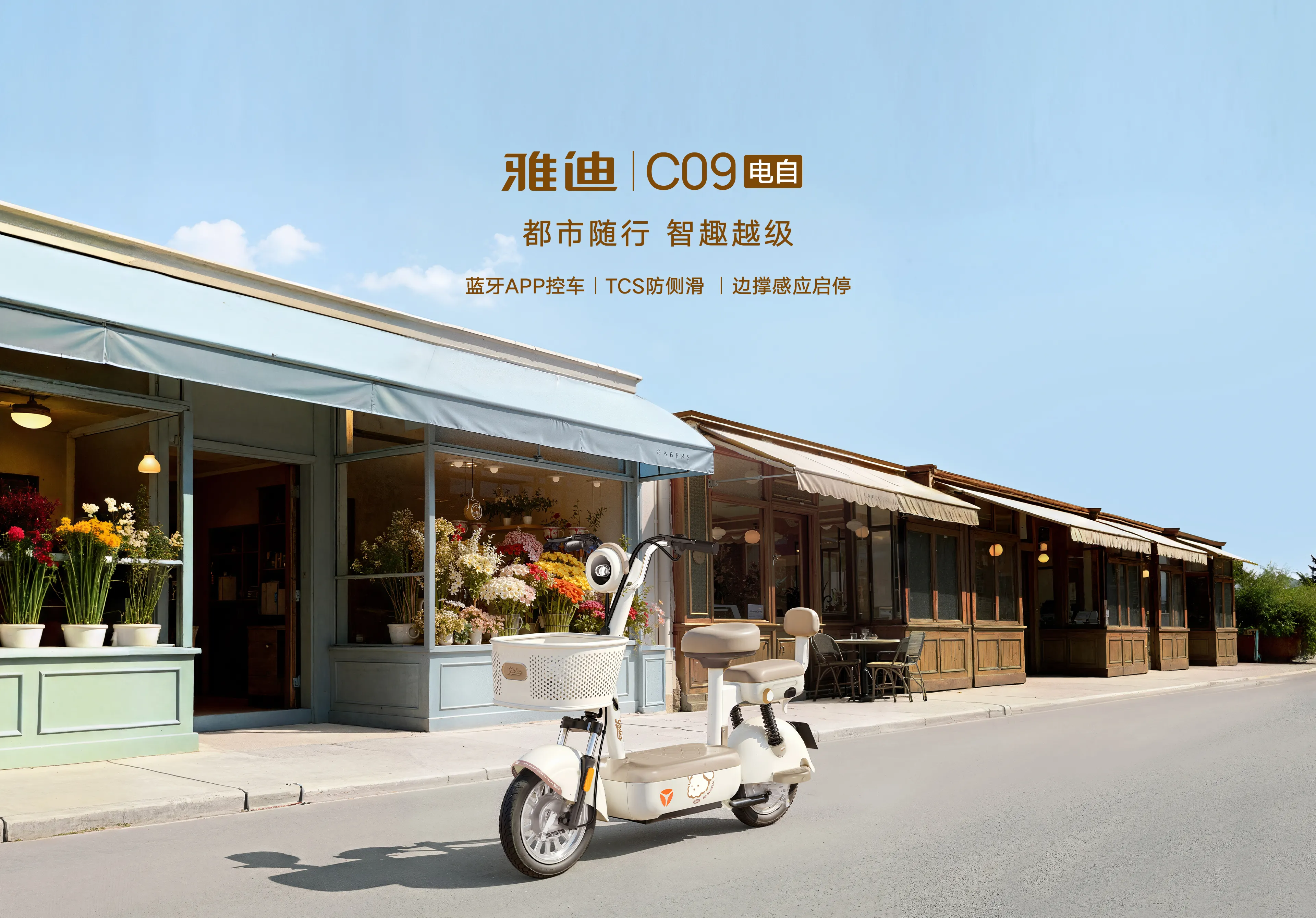 雅迪 C09