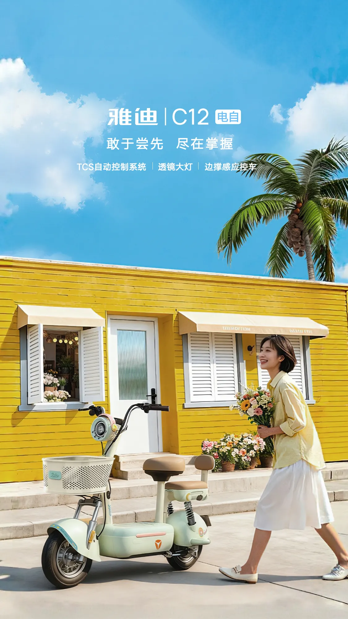 雅迪 C12