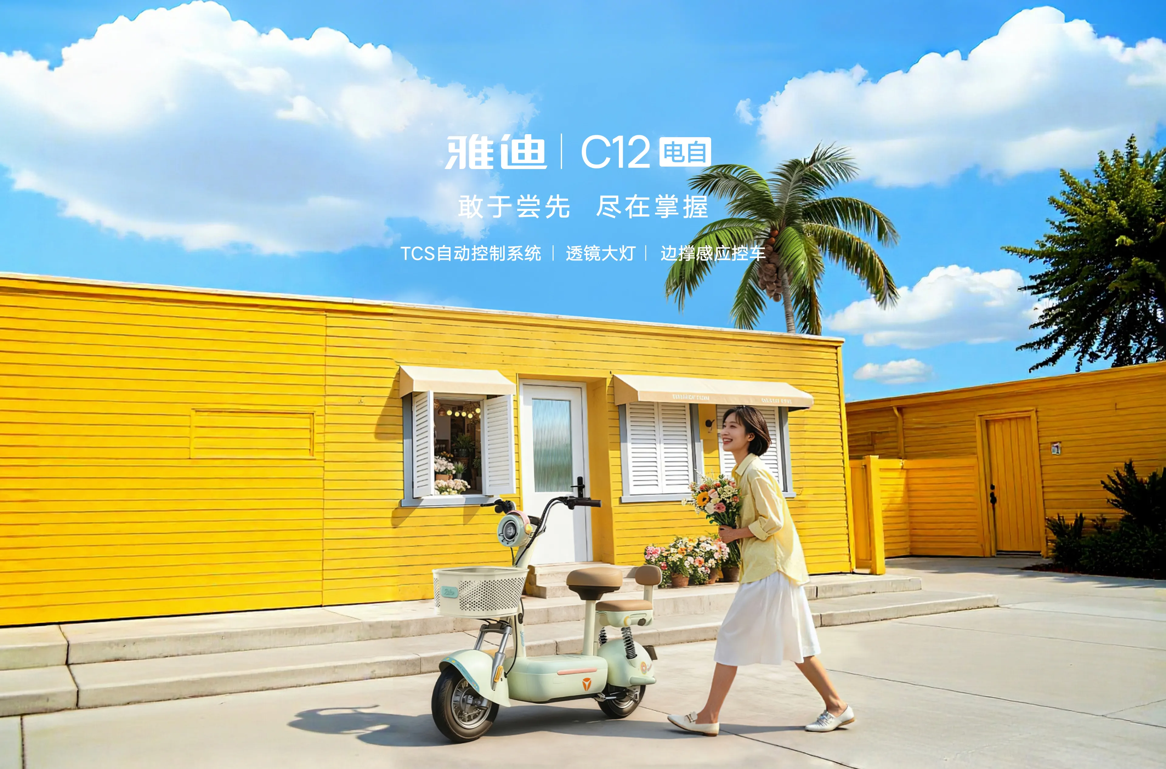 雅迪 C12