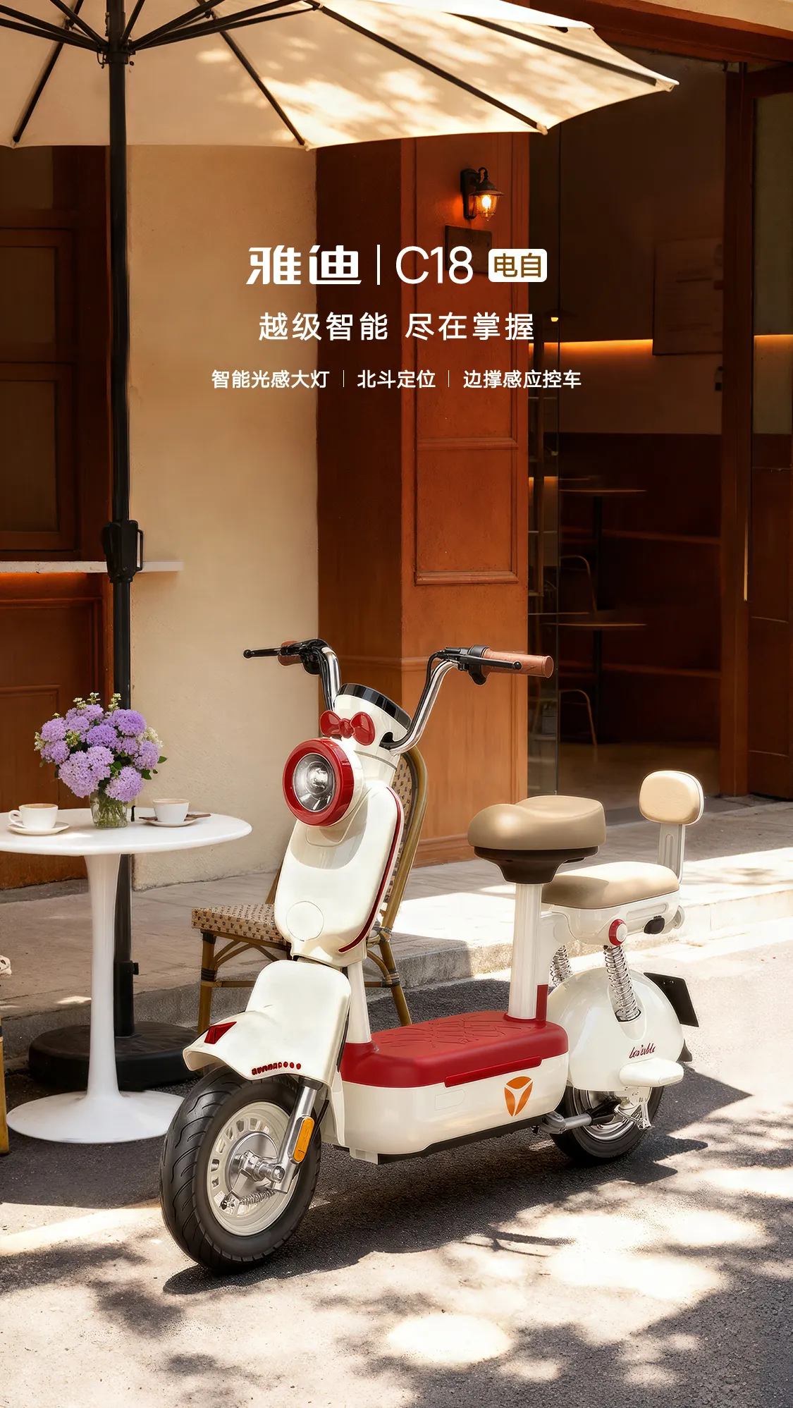 雅迪 C18