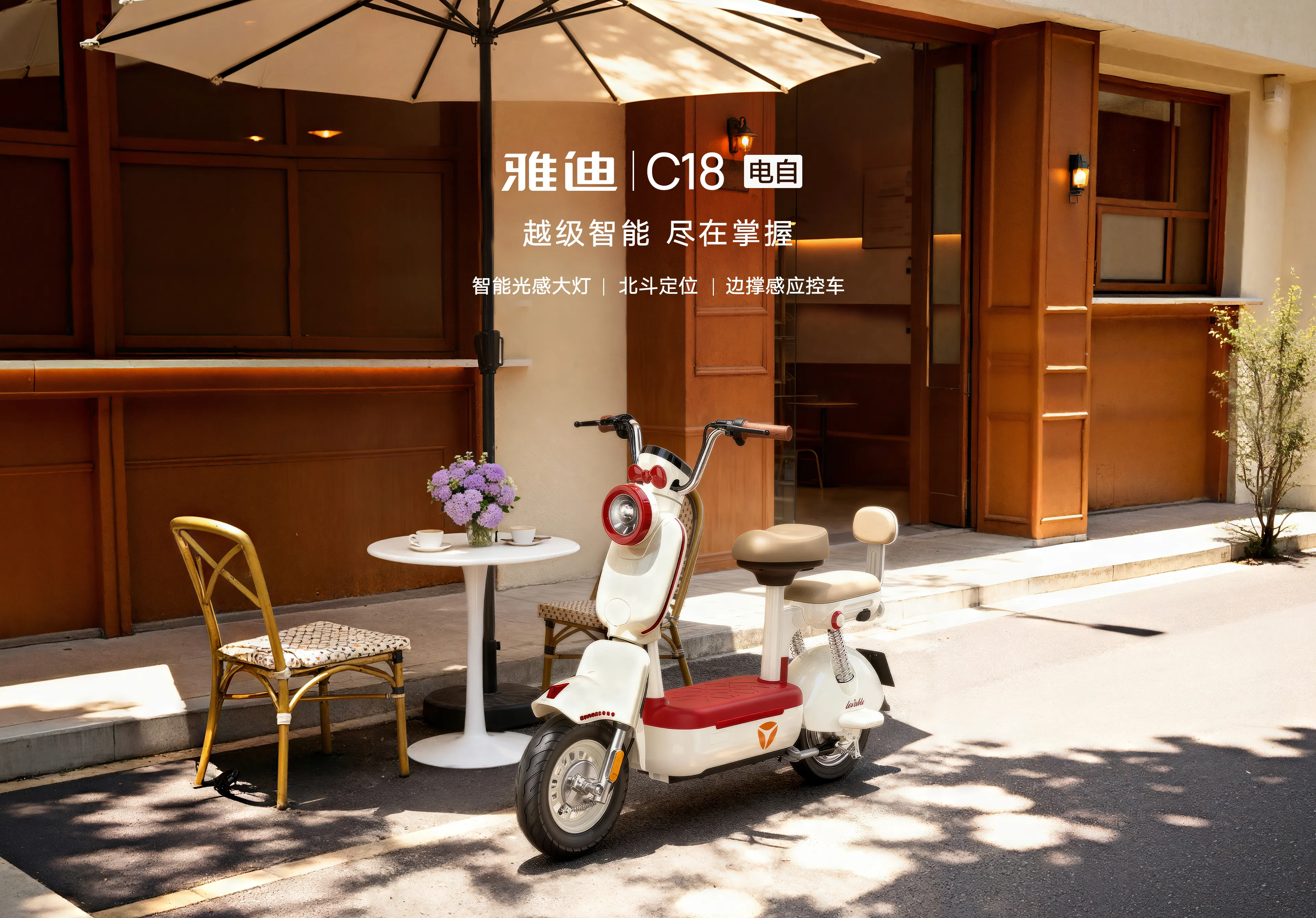 雅迪 C18