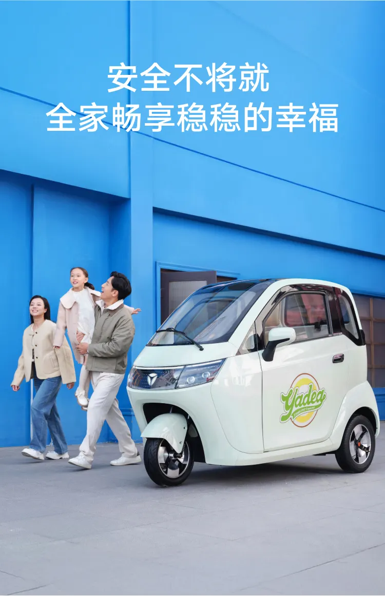 雅迪 EV301