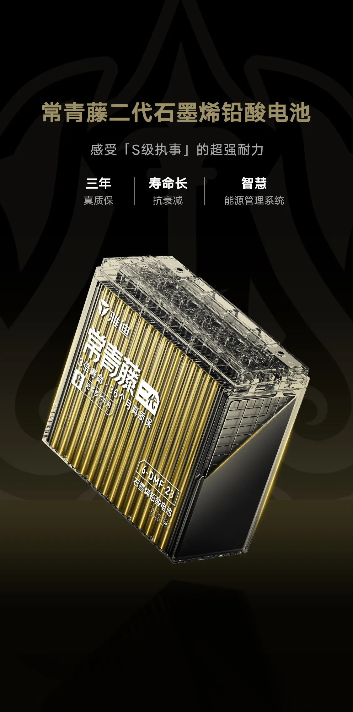 常青藤二代石墨烯铅酸电池