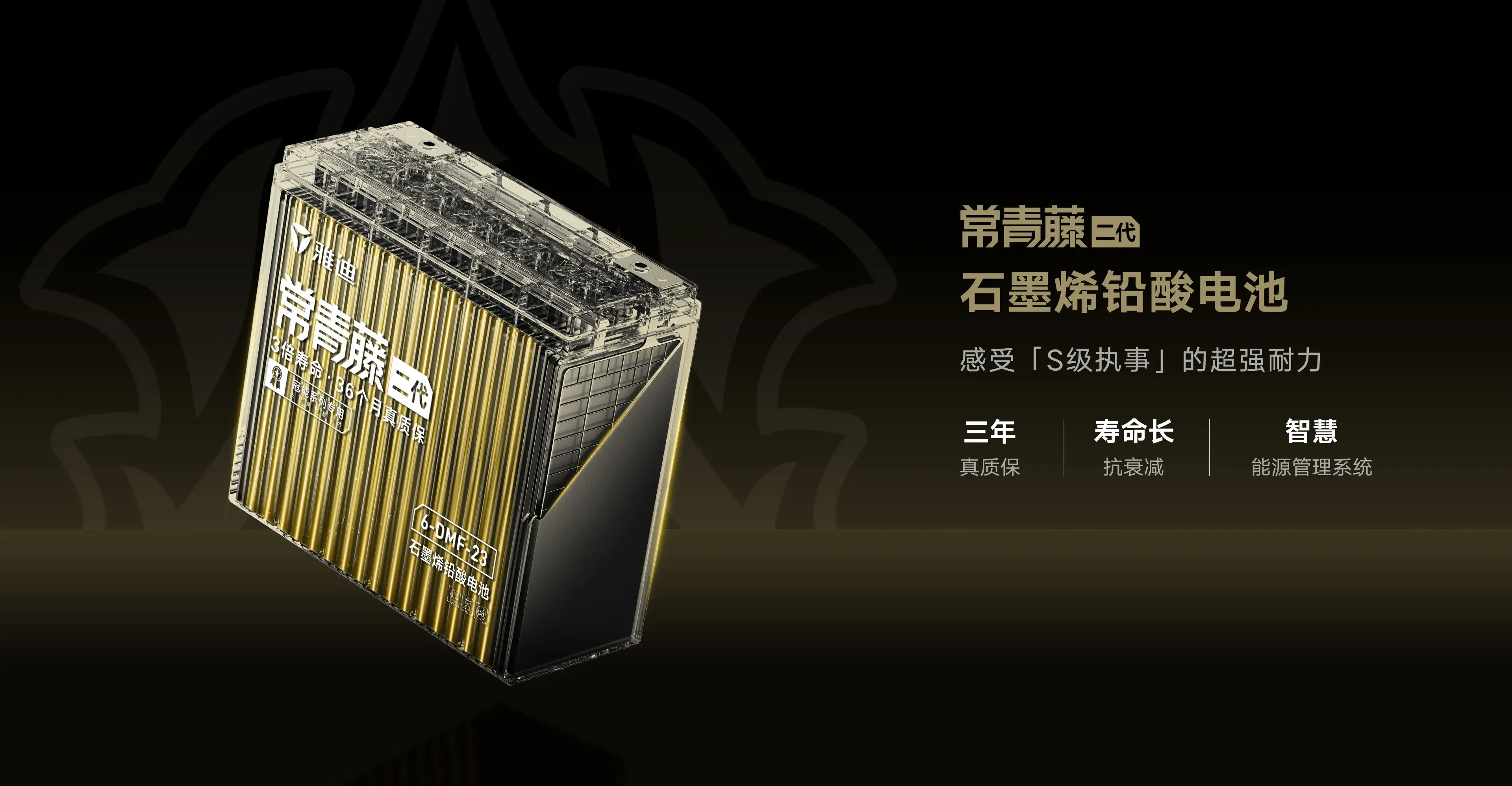 石墨烯铅酸电池