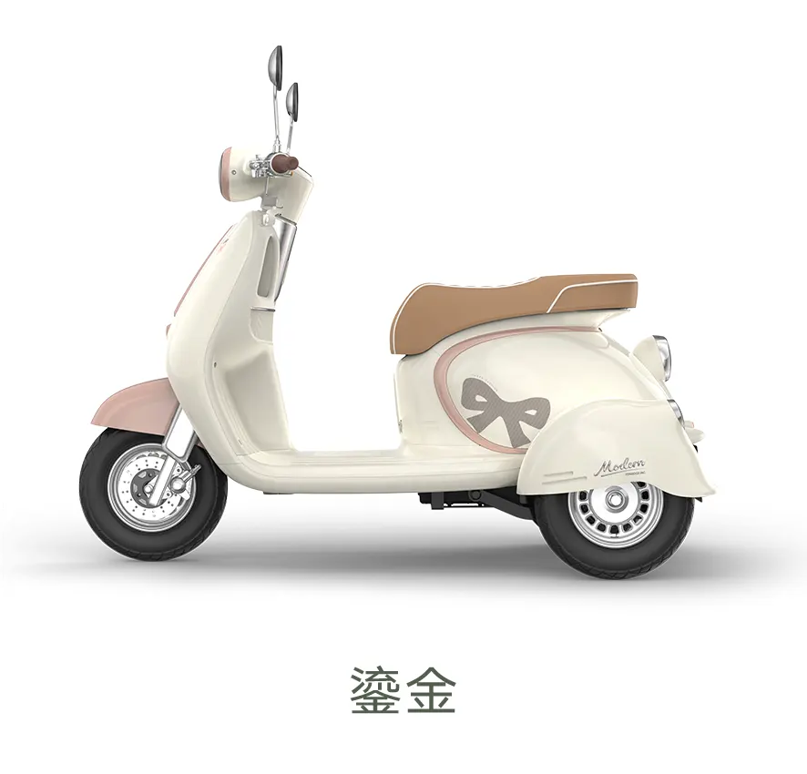 雅迪摩登 风彩