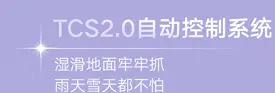 雅迪 摩登莱茵II
